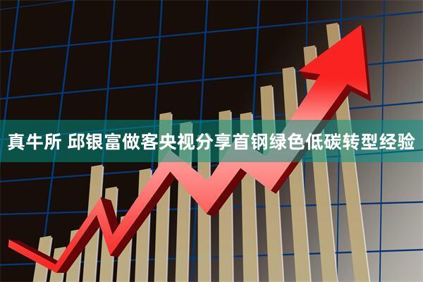 真牛所 邱银富做客央视分享首钢绿色低碳转型经验