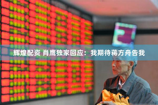 辉煌配资 肖鹰独家回应：我期待蒋方舟告我