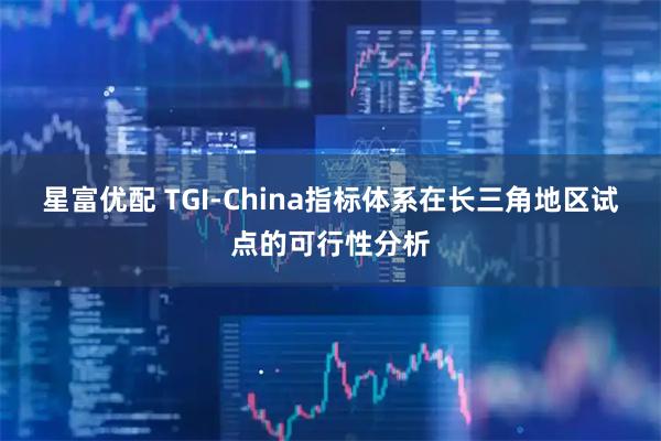星富优配 TGI-China指标体系在长三角地区试点的可行性分析